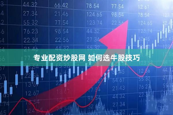 专业配资炒股网 如何选牛股技巧