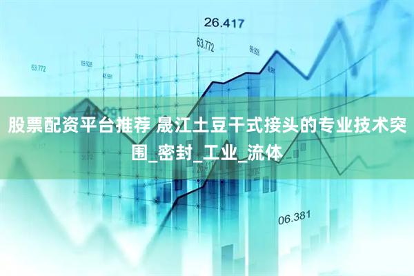 股票配资平台推荐 晟江土豆干式接头的专业技术突围_密封_工业_流体